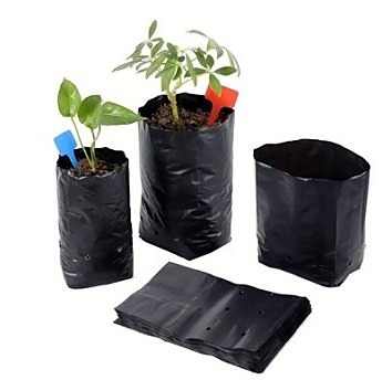 Nursery polybags